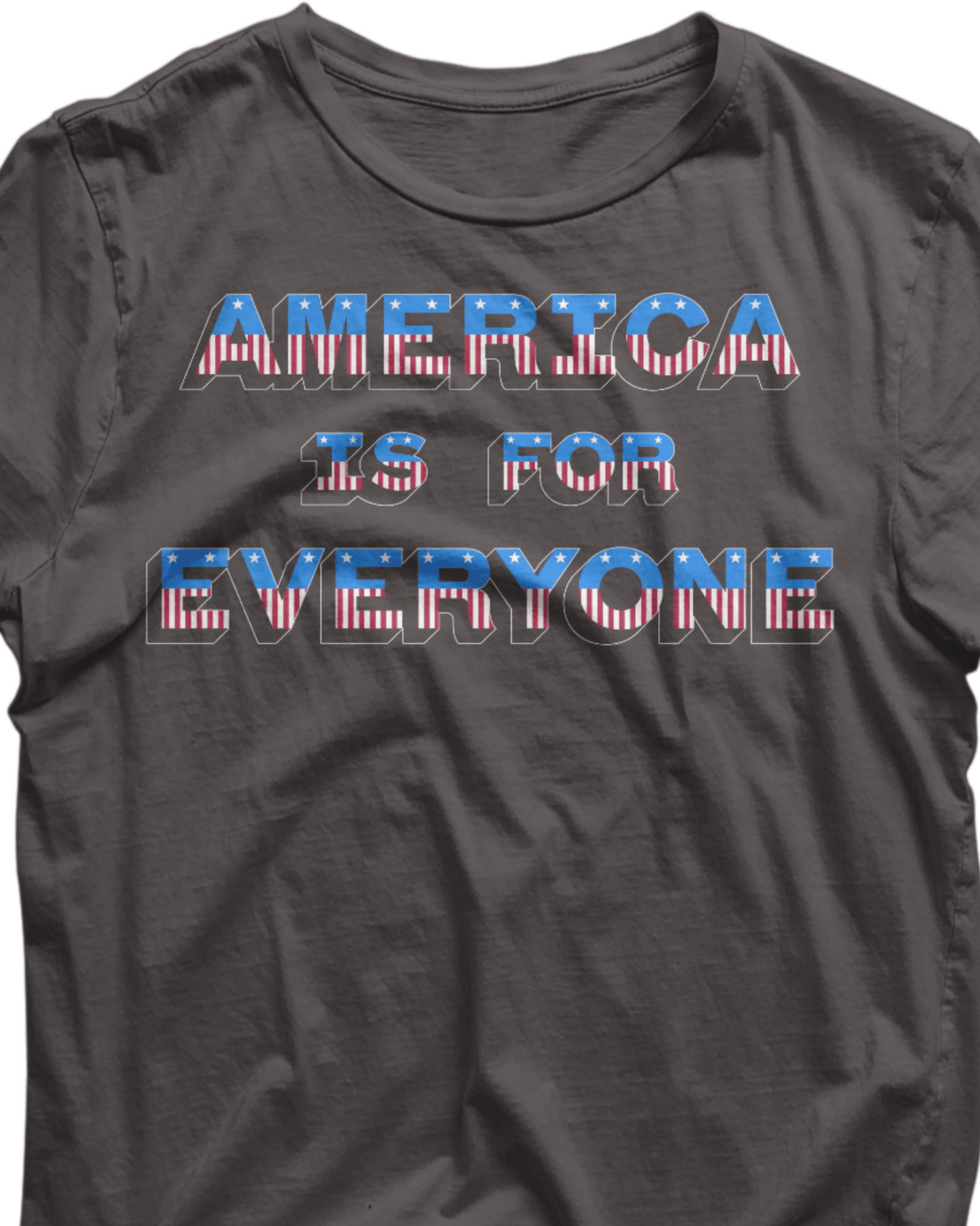 America Is For Everyone Premium Tee - Pilgrym Supply Co.