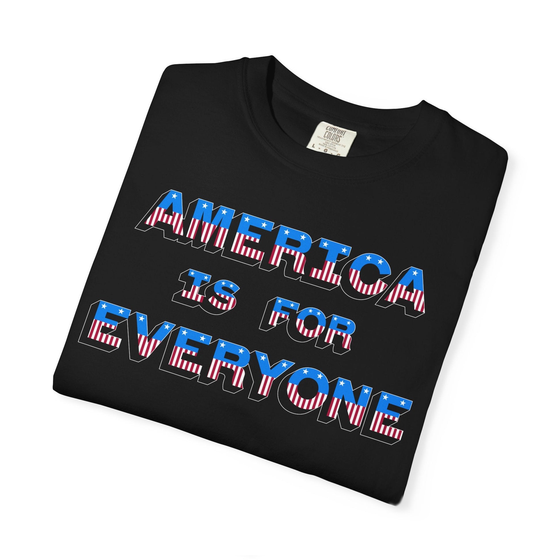 America Is For Everyone Premium Tee - Pilgrym Supply Co.