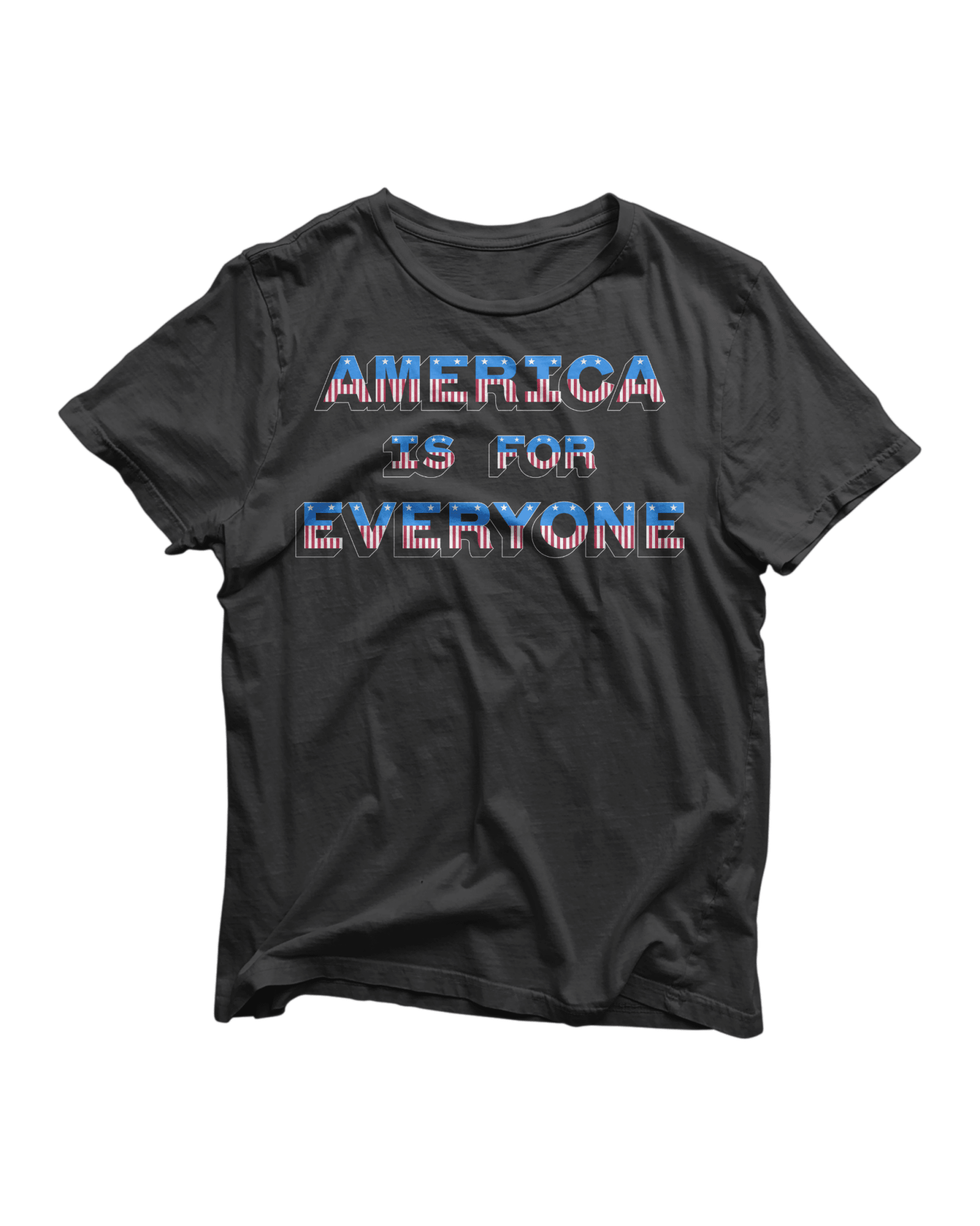 America Is For Everyone Premium Tee - Pilgrym Supply Co.