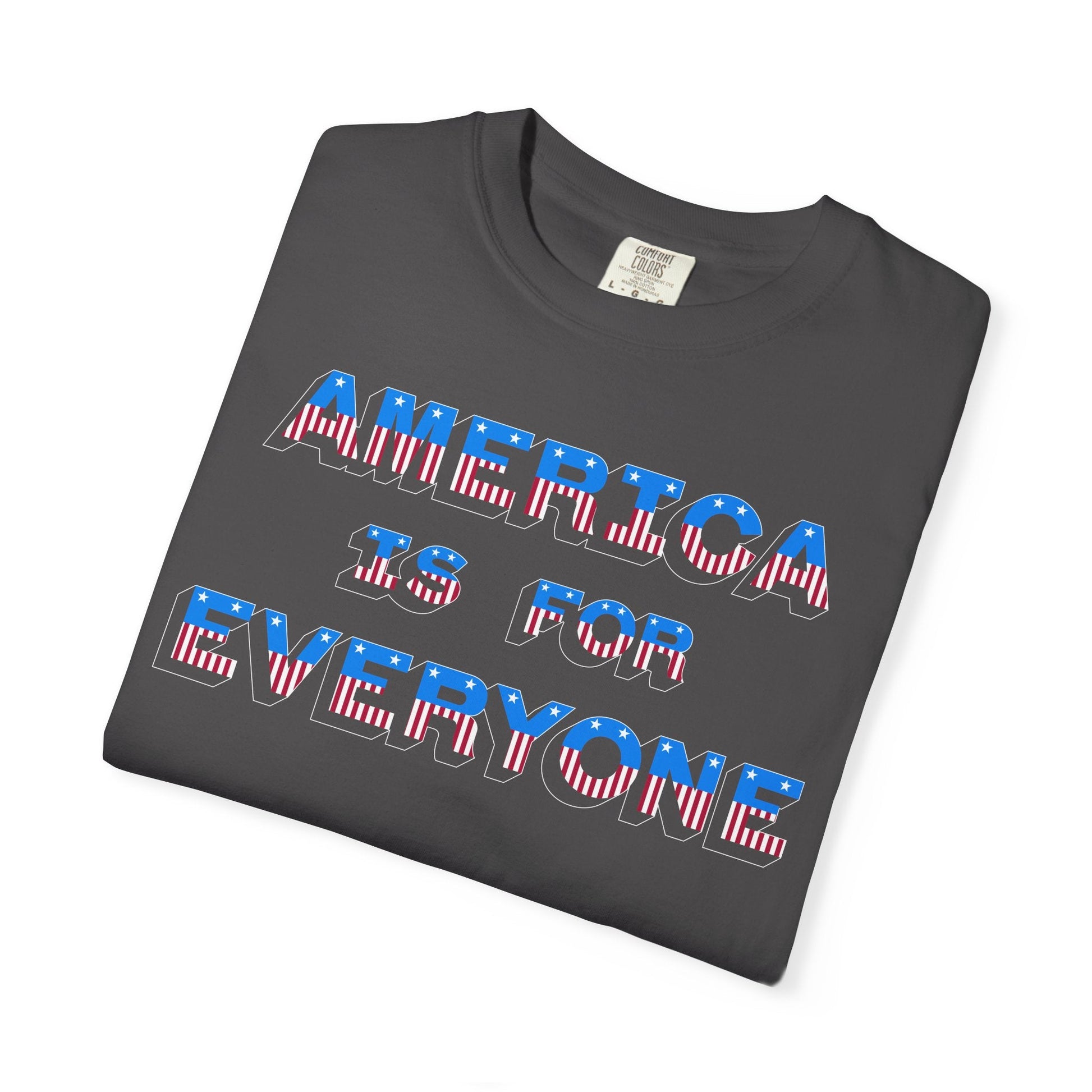America Is For Everyone Premium Tee - Pilgrym Supply Co.