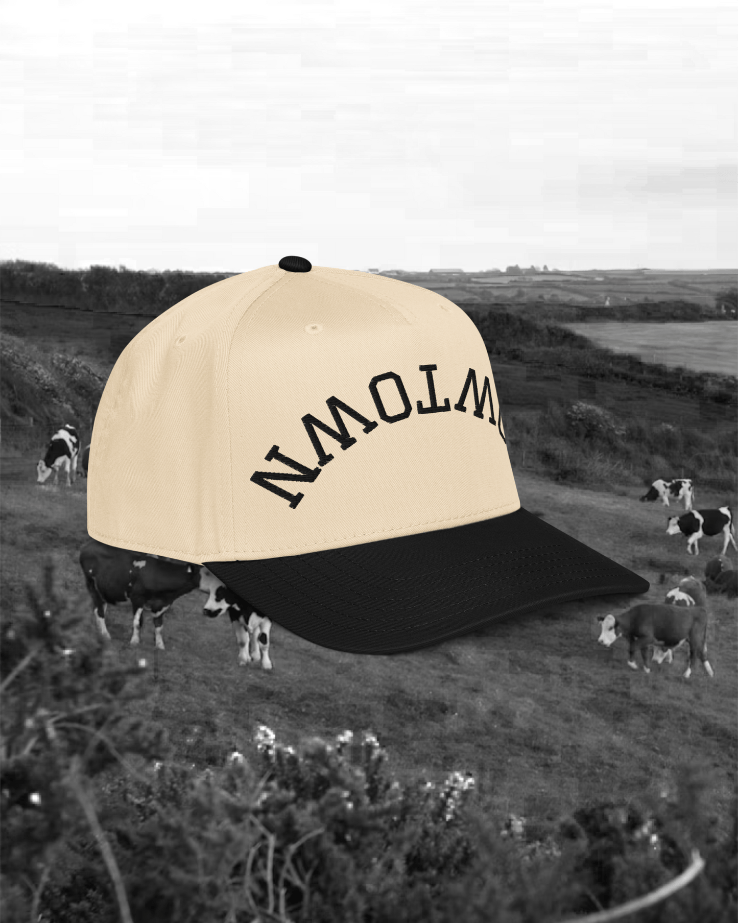 Cowtown Snapback - Pilgrym Supply Co.